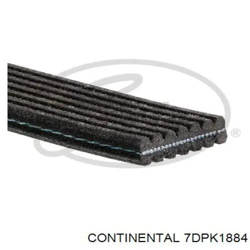 Pas napędowy mechanizmów Continental/Siemens 7DPK1884 cena, od 43,27 USD