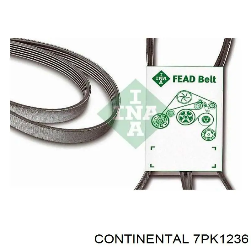 Pas napędowy mechanizmów Continental/Siemens 7PK1236 cena, od 21,86 USD