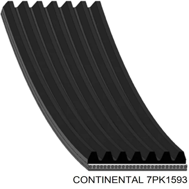 7PK1593 Continental/Siemens Pas napędowy mechanizmów