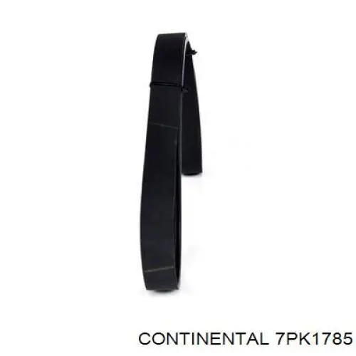 7PK1785 Continental/Siemens Pas napędowy mechanizmów