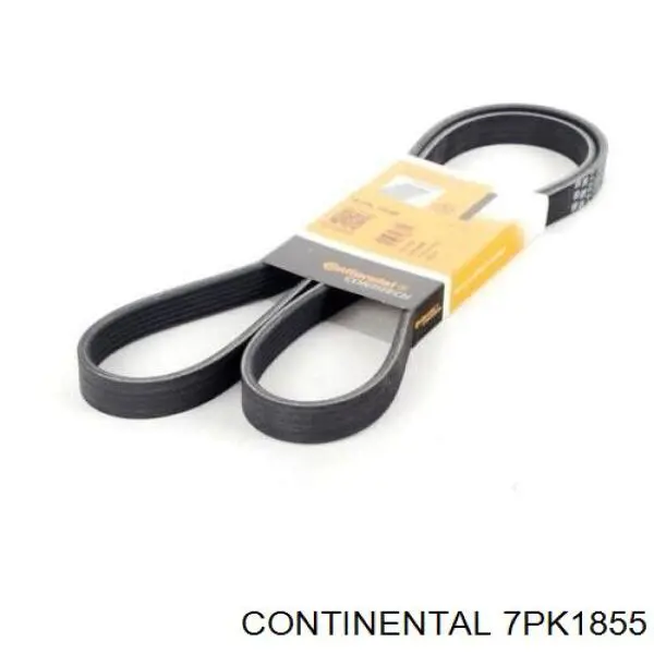 Pas napędowy mechanizmów Continental/Siemens 7PK1855 cena, od 27,06 USD