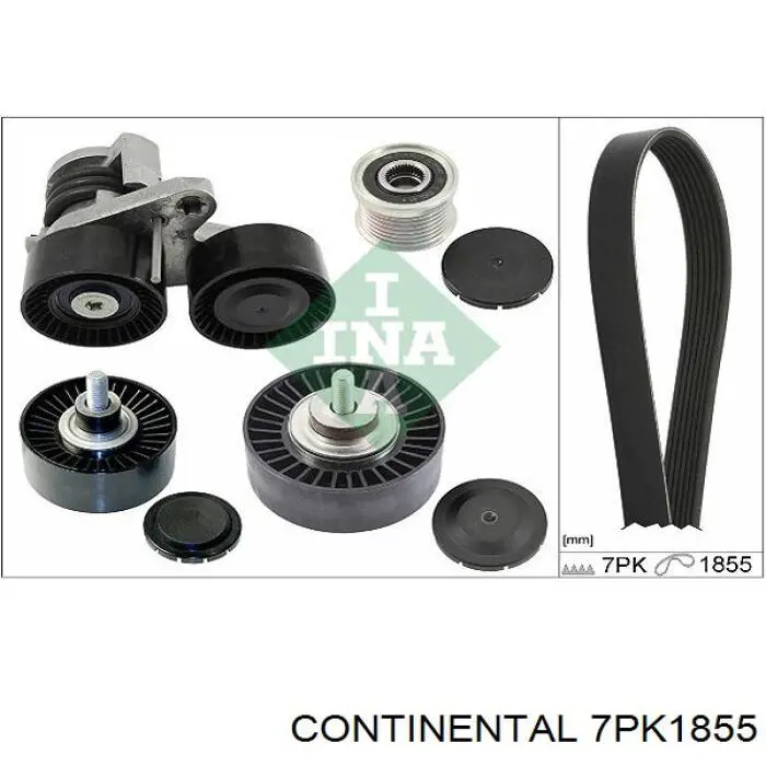 7PK1855 Continental/Siemens Pas napędowy mechanizmów