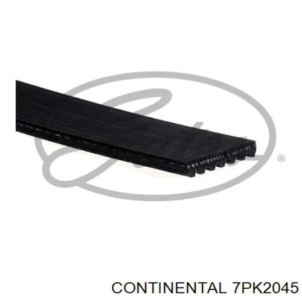 Pas napędowy mechanizmów Continental/Siemens 7PK2045 cena, od 27,84 USD