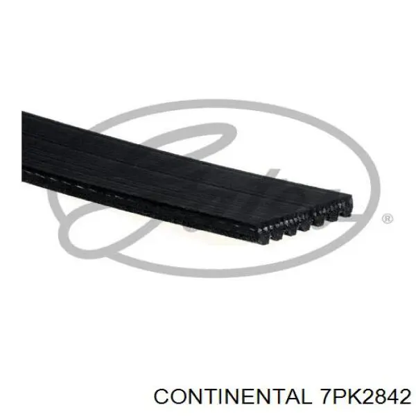 Pas napędowy mechanizmów Continental/Siemens 7PK2842 cena, od 37,82 USD