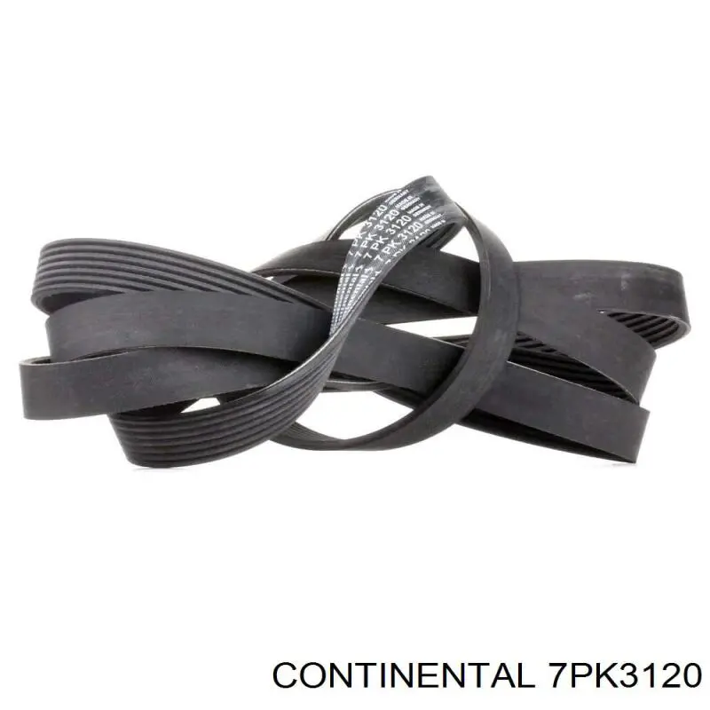 Pas napędowy mechanizmów Continental/Siemens 7PK3120 cena, od 46,18 USD