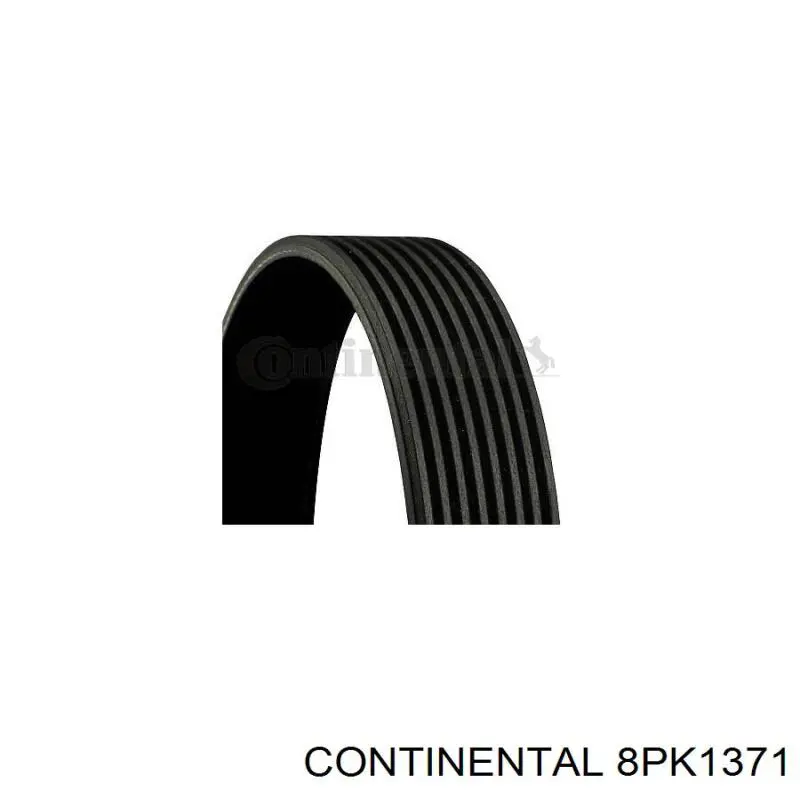 Do koszyka 8PK1371 Continental/Siemens Pas napędowy mechanizmów
