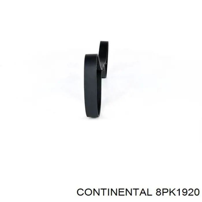 Pas napędowy mechanizmów Continental/Siemens 8PK1920 cena, od 27,91 USD