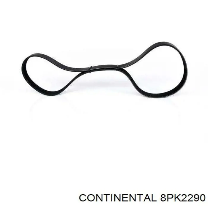 Pas napędowy mechanizmów Continental/Siemens 8PK2290 cena, od 32,14 USD