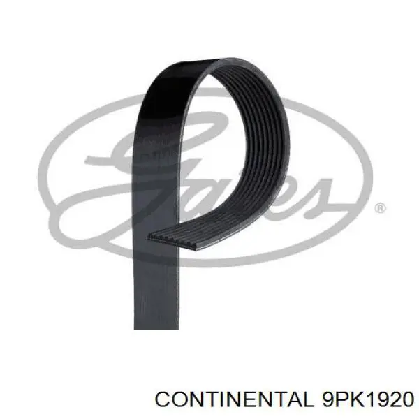 Pas napędowy mechanizmów Continental/Siemens 9PK1920 cena, od 34,05 USD