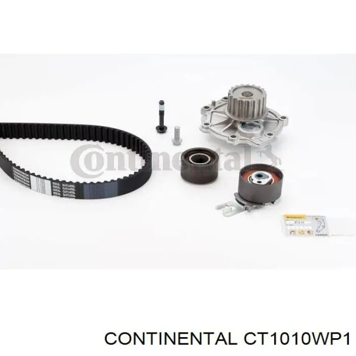 CT1010WP1 Continental/Siemens Pasek rozrządu, zestaw