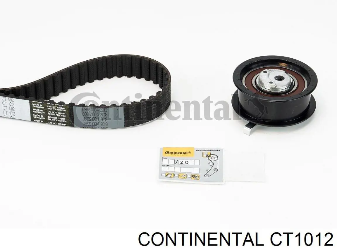 CT1012 Continental/Siemens Pasek rozrządu