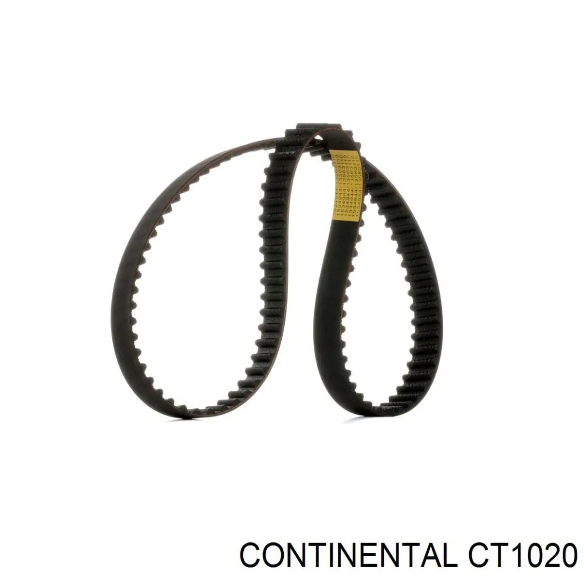 CT1020 Continental/Siemens Pasek rozrządu