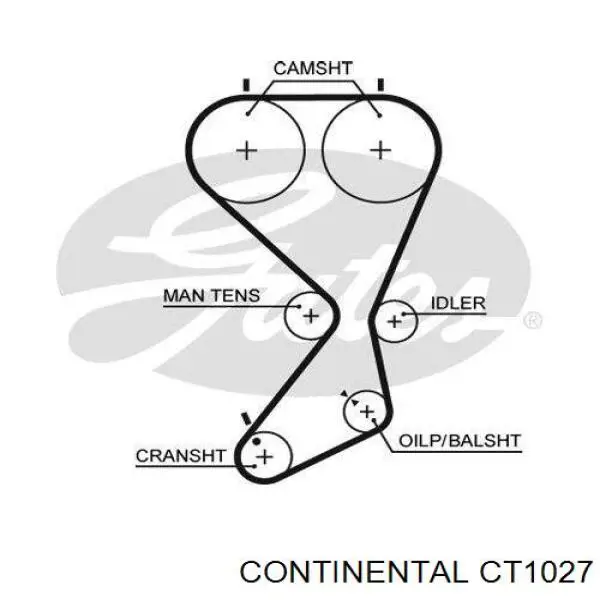 CT1027 Continental/Siemens pasek rozrządu