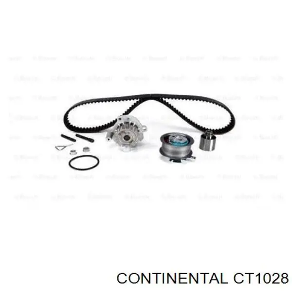 CT1028 Continental/Siemens Pasek rozrządu