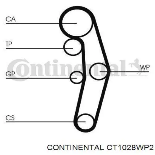 CT1028WP2 Continental/Siemens Pasek rozrządu, zestaw