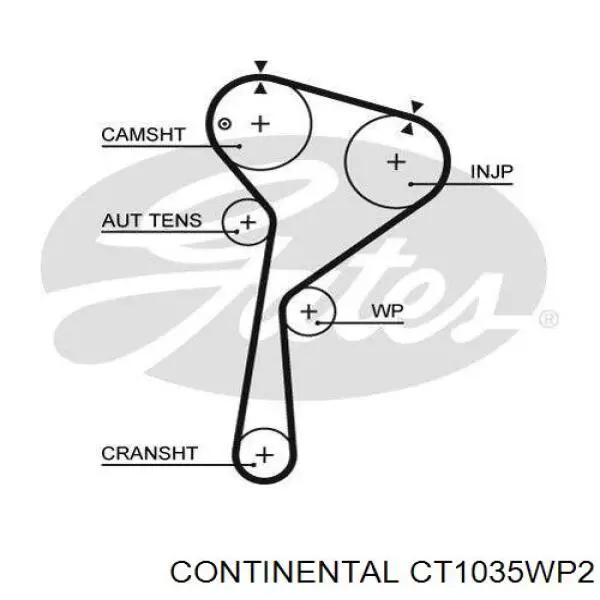 Do koszyka CT1035WP2 Continental/Siemens Pasek rozrządu, zestaw