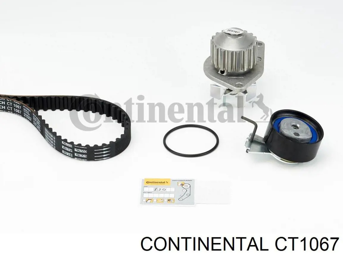 CT1067 Continental/Siemens pasek rozrządu