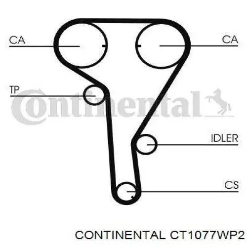 CT1077WP2 Continental/Siemens pasek rozrządu, zestaw