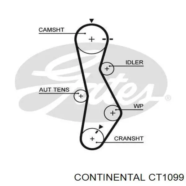 CT1099 Continental/Siemens Pasek rozrządu