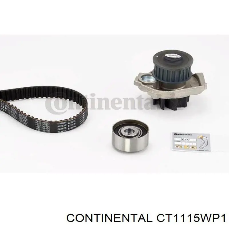 CT1115WP1 Continental/Siemens Pasek rozrządu, zestaw