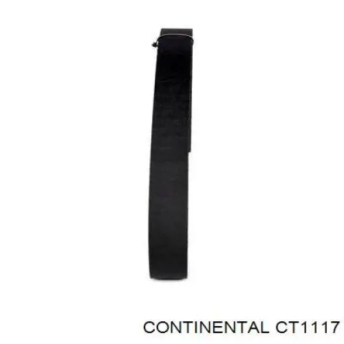 CT1117 Continental/Siemens Pasek rozrządu