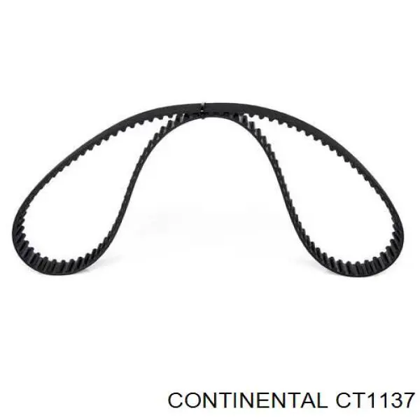 CT1137 Continental/Siemens Pasek rozrządu