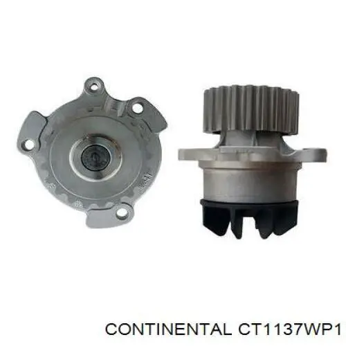 CT1137WP1 Continental/Siemens Pasek rozrządu, zestaw