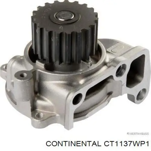 Pasek rozrządu, zestaw Continental/Siemens CT1137WP1 cena, od 163,84 USD