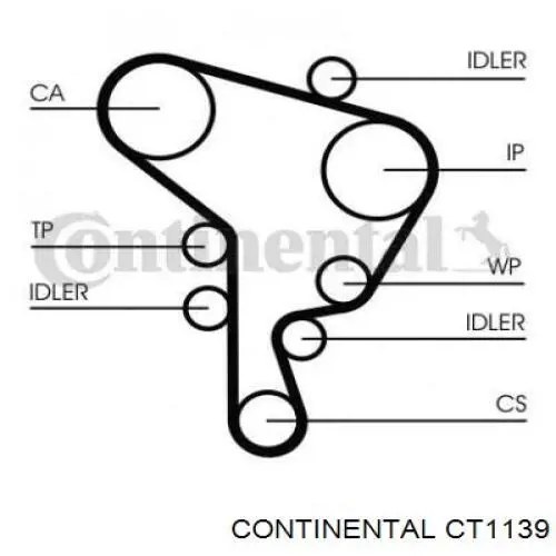 Do koszyka CT1139 Continental/Siemens Pasek rozrządu