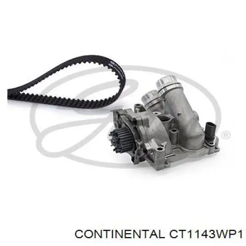 CT1143WP1 Continental/Siemens Pasek rozrządu, zestaw