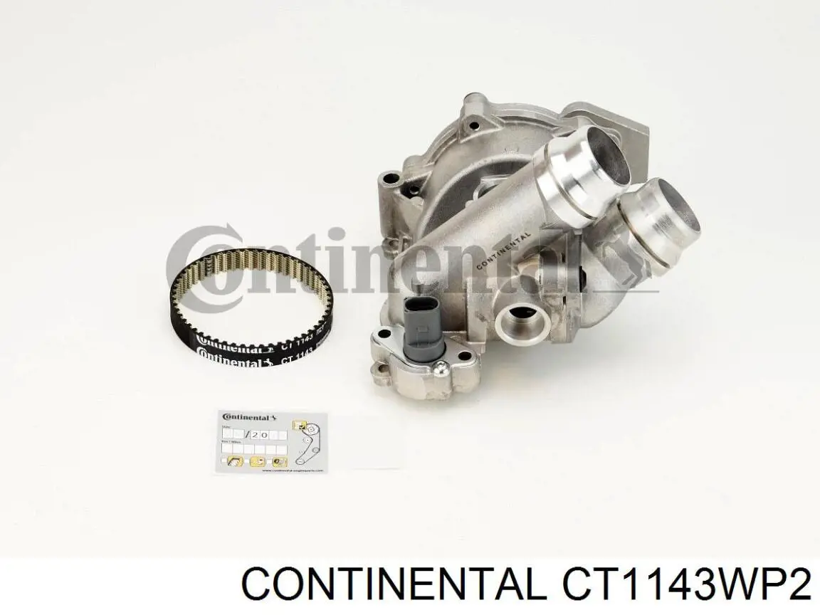 CT1143WP2 Continental/Siemens Pasek rozrządu, zestaw