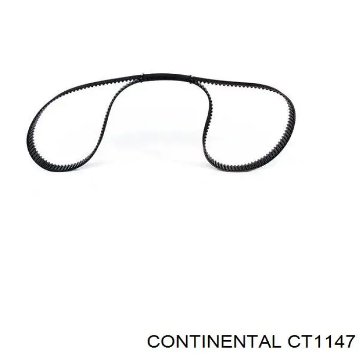 CT1147 Continental/Siemens Pasek rozrządu