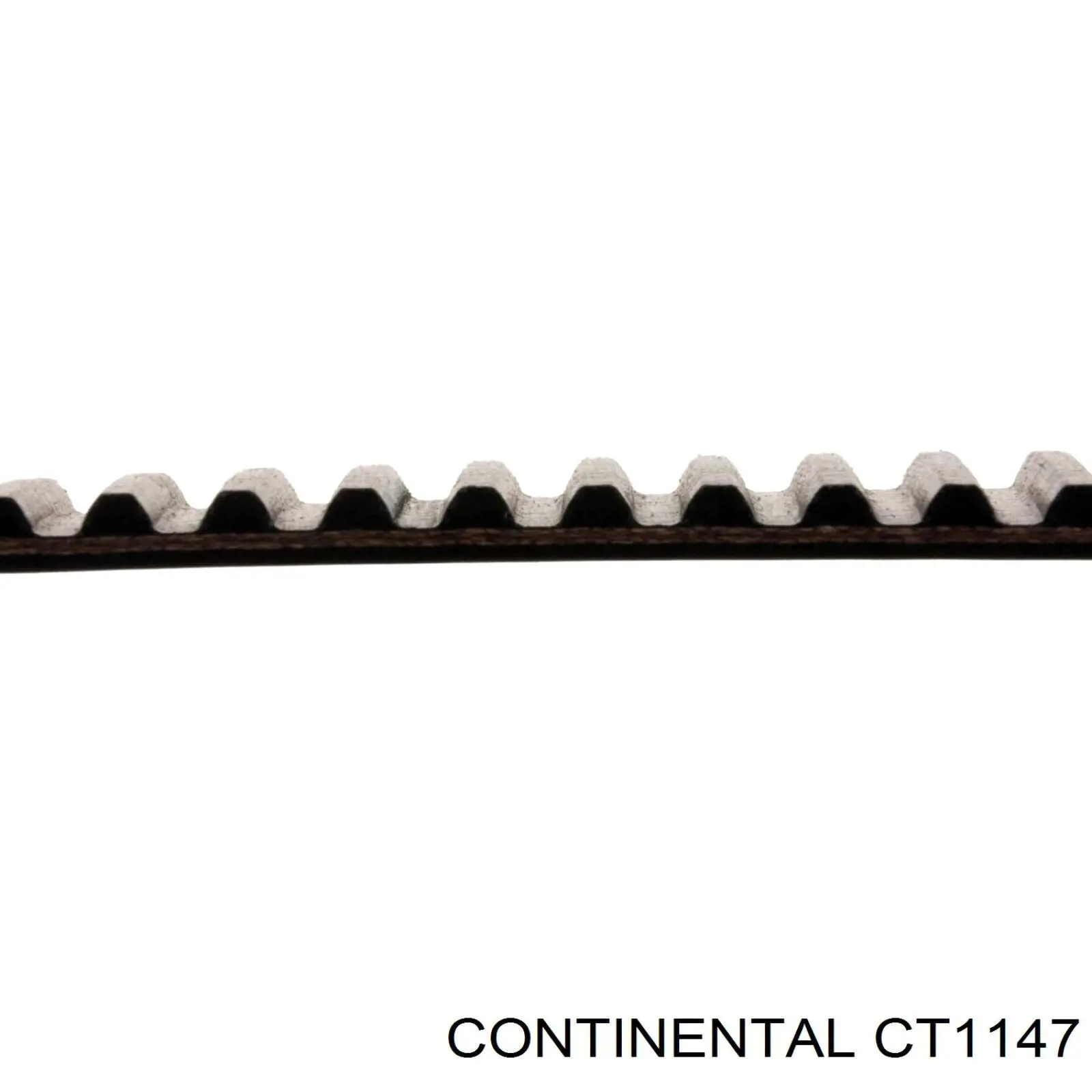 CT1147 Continental/Siemens Pasek rozrządu