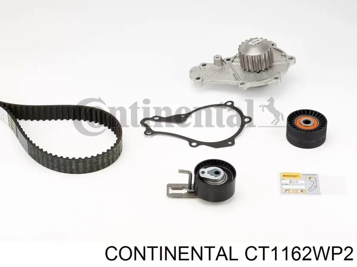 CT1162WP2 Continental/Siemens Pasek rozrządu, zestaw