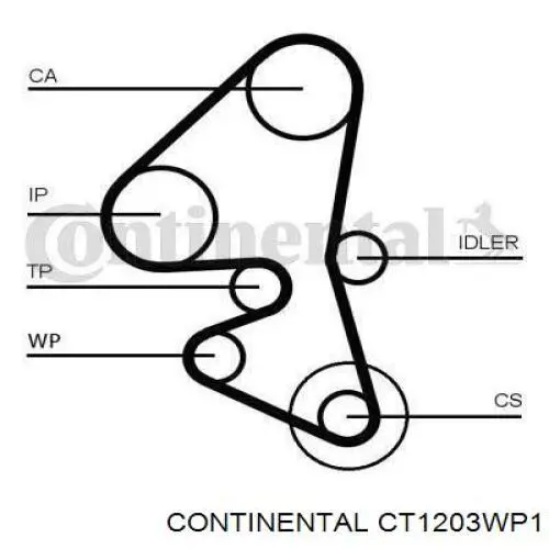 CT1203WP1 Continental/Siemens pasek rozrządu, zestaw