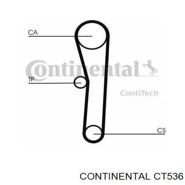 CT536 Continental/Siemens pasek rozrządu