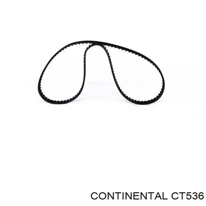 CT536 Continental/Siemens Pasek rozrządu