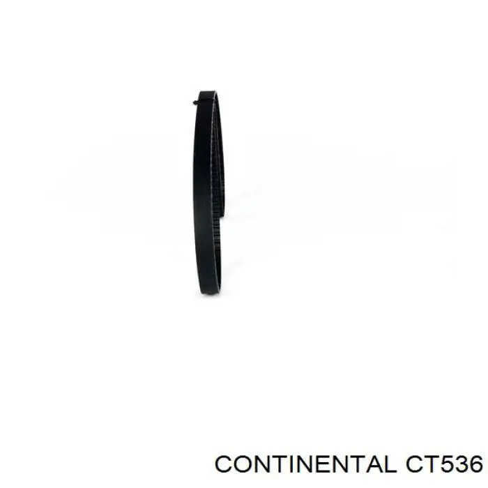 Do koszyka CT536 Continental/Siemens Pasek rozrządu