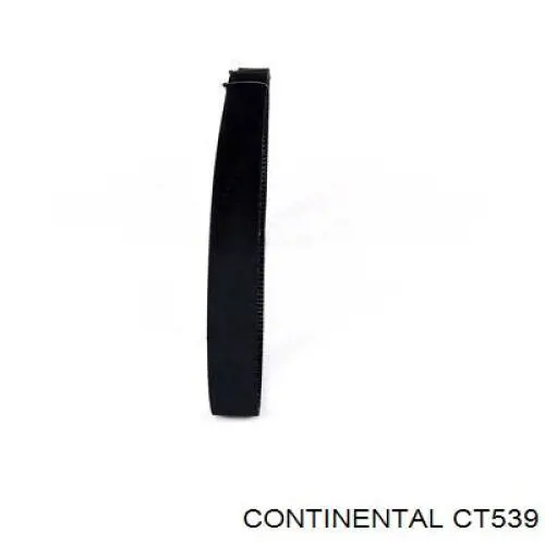Do koszyka CT539 Continental/Siemens Pasek rozrządu