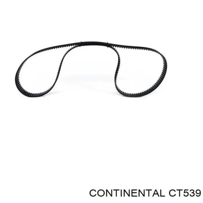 CT539 Continental/Siemens Pasek rozrządu