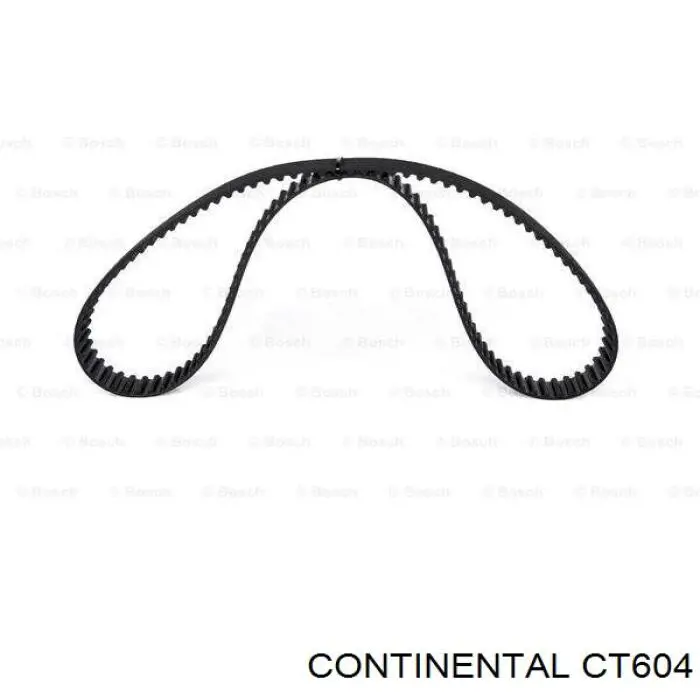 CT604 Continental/Siemens Pasek rozrządu