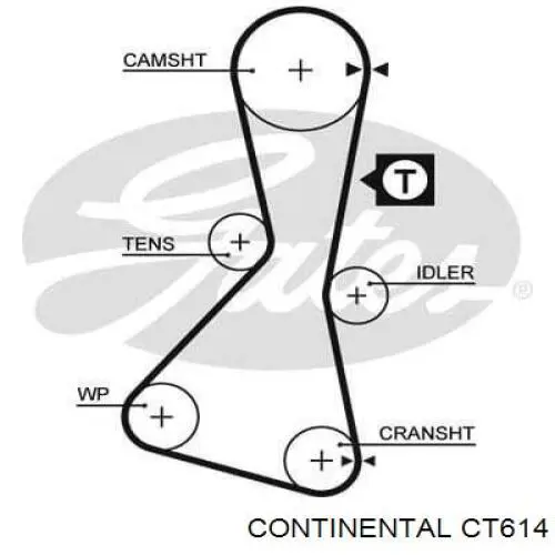 CT614 Continental/Siemens Pasek rozrządu