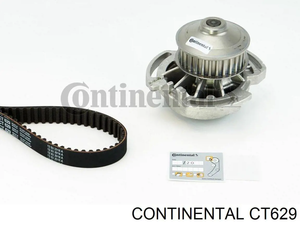 CT629 Continental/Siemens Pasek rozrządu