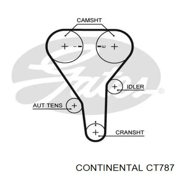 Pasek rozrządu Continental/Siemens CT787 cena, od 25,67 USD