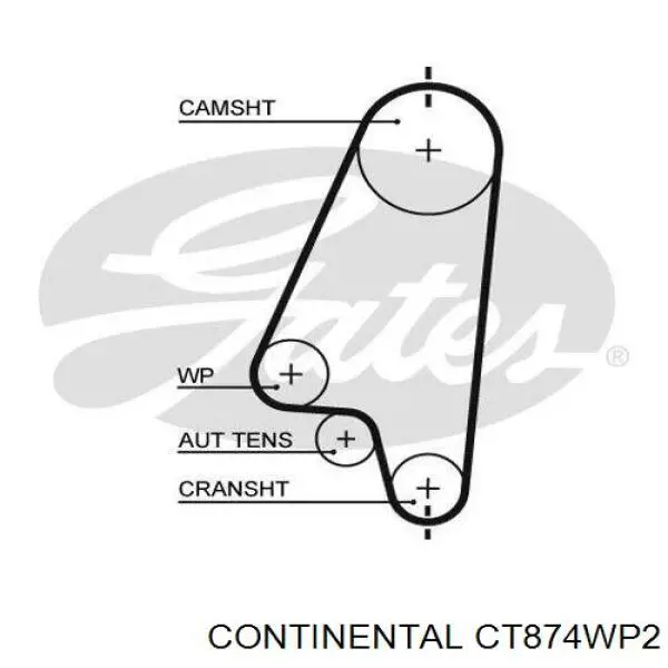 CT874WP2 Continental/Siemens Pasek rozrządu, zestaw