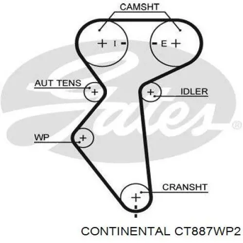 Pasek rozrządu, zestaw Continental/Siemens CT887WP2 cena, od 132,64 USD
