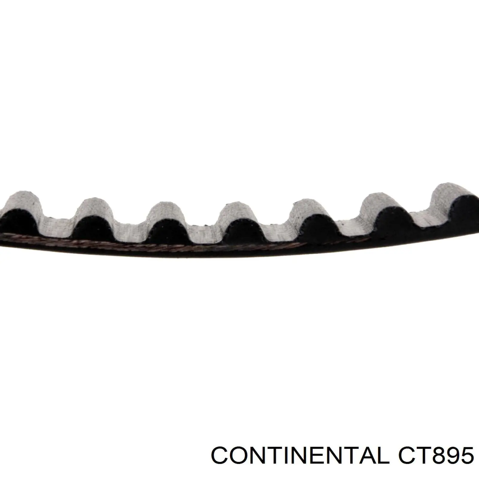 CT895 Continental/Siemens Pasek rozrządu