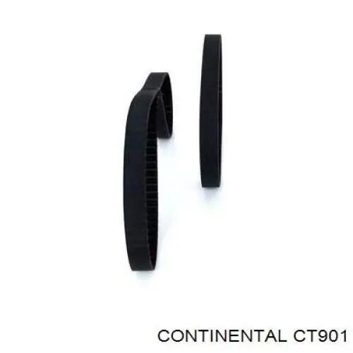 CT901 Continental/Siemens Pasek rozrządu
