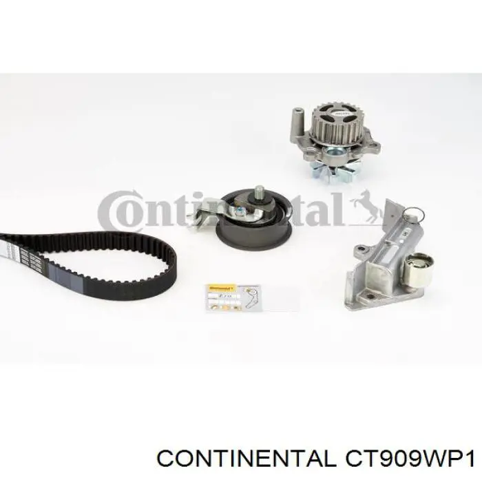 CT909WP1 Continental/Siemens Pasek rozrządu, zestaw