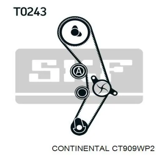 Pasek rozrządu, zestaw Continental/Siemens CT909WP2 cena, od 200,69 USD